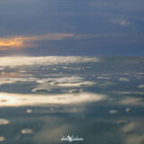 Lbouir Aqua-00